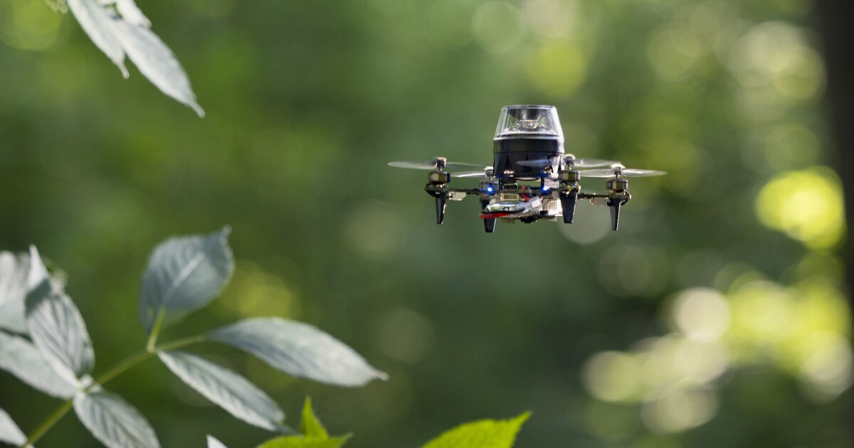 Un dron que bate récords utiliza inteligencia inspirada en las hormigas para volver a casa