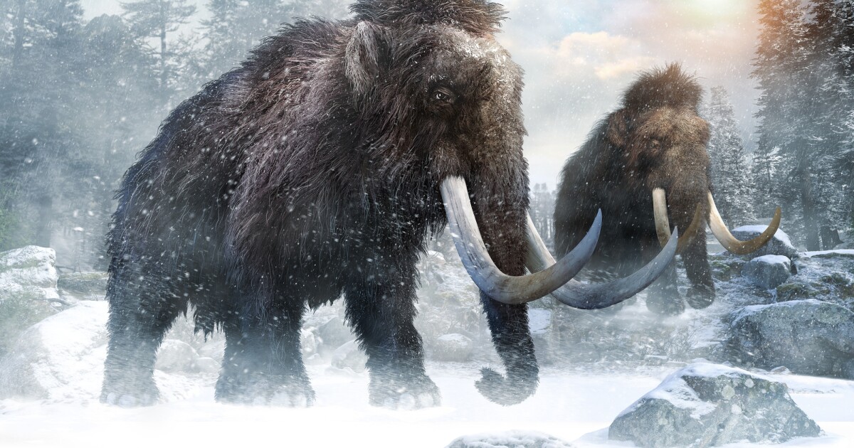 Un mamut liofilizado revela el genoma antiguo más completo en 3D