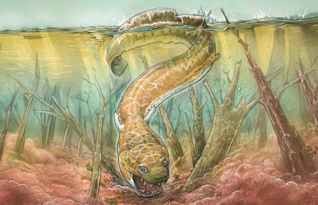 El monstruo gigante del pantano fue un depredador superior antes de los dinosaurios.