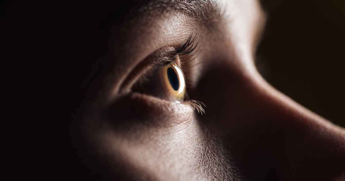 Los implantes oculares de Elon Musk podrían no estar a la altura de su ambiciosa visión