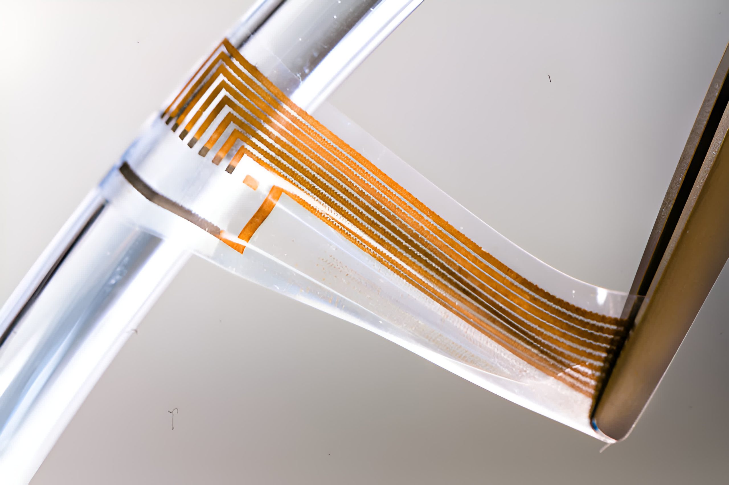 Investigadores crean nervios de «oro blando» utilizando nanocables conductores