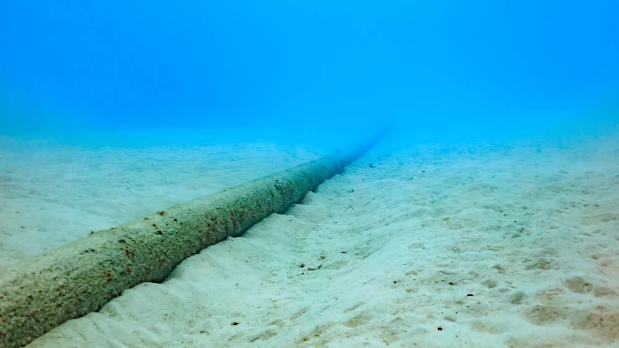 Investigan la interrupción del cable submarino en el Mar Báltico por posible sabotaje