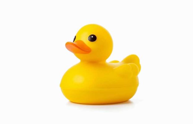 Se explota una vulnerabilidad de DNS de ocho años de antigüedad llamada “Sitting Ducks” para secuestrar dominios web con impunidad