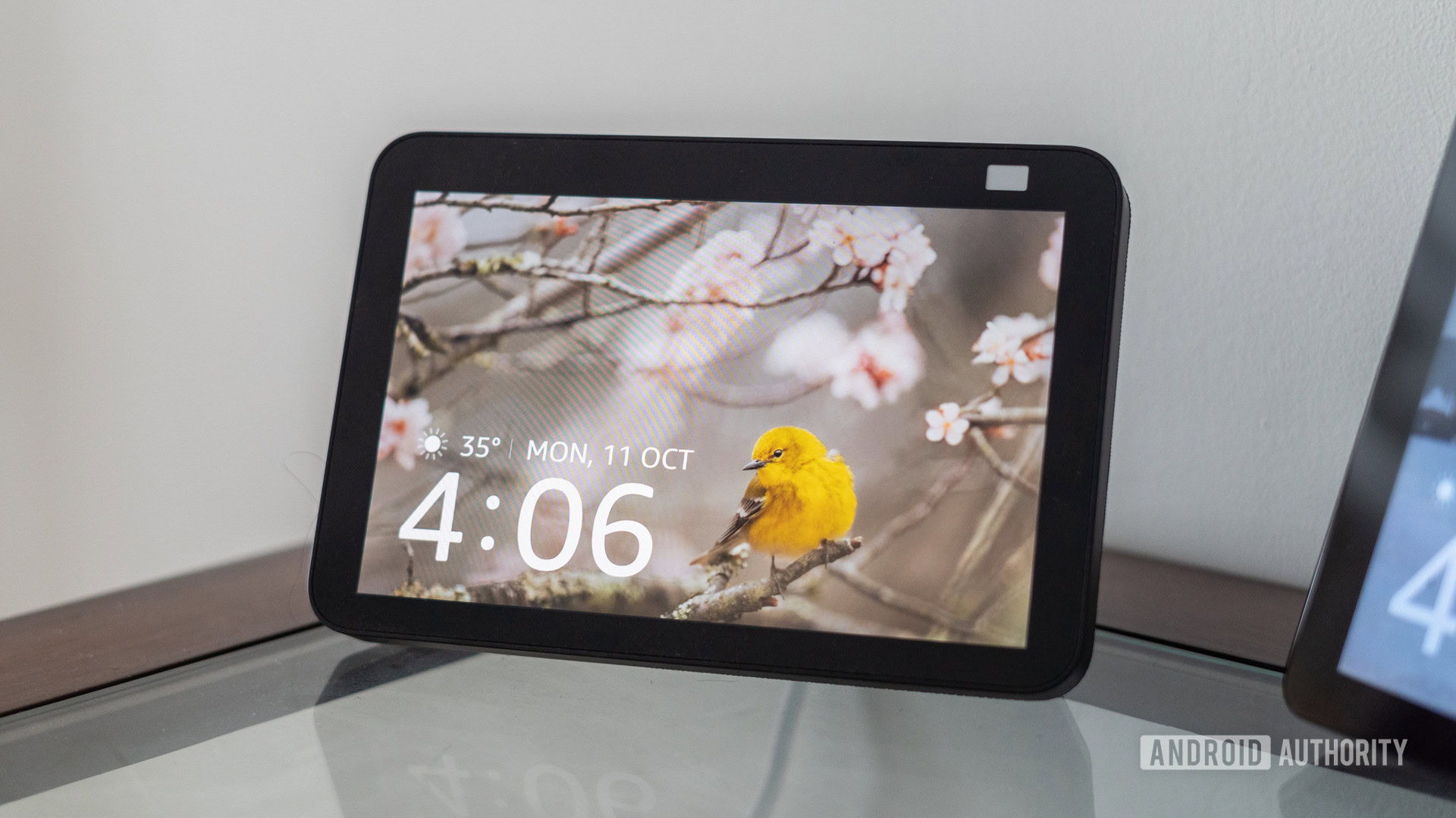 Amazon está arruinando el Echo Show 8 Photos Edition