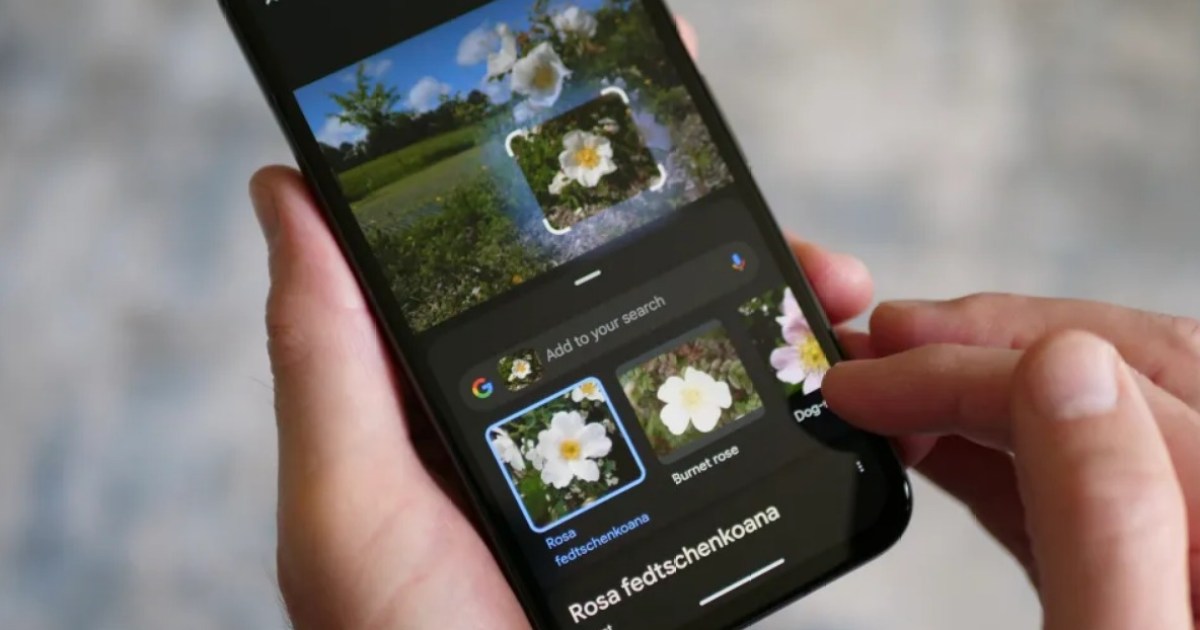 ¿Cómo usar Busca con un círculo o Circle to search en Android?