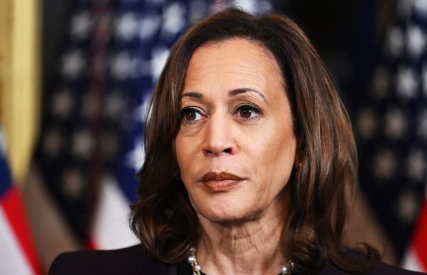 Kamala Harris y la paradoja del progreso