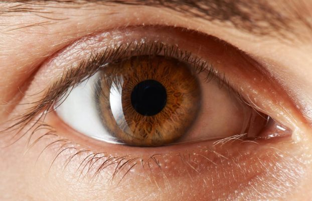 Las mejores vitaminas y suplementos para la salud ocular