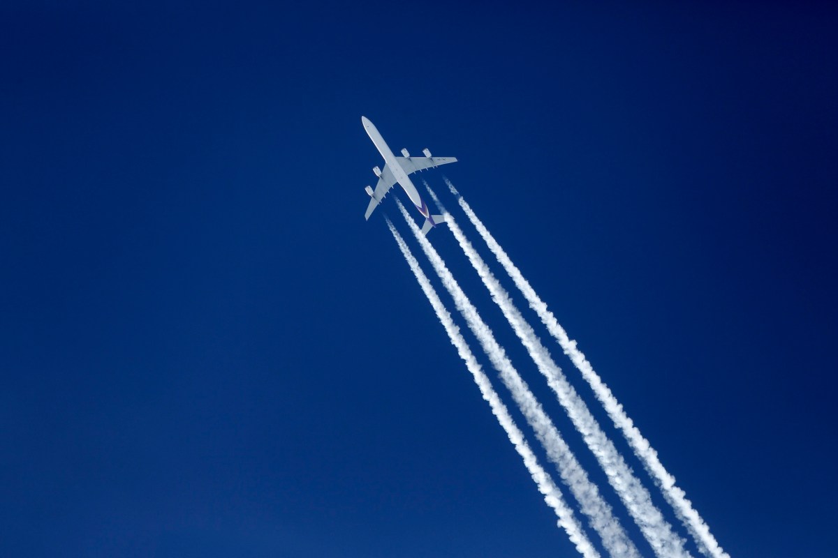 FlightAware advierte que la información de algunos clientes ha sido «expuesta», incluidos números de Seguridad Social