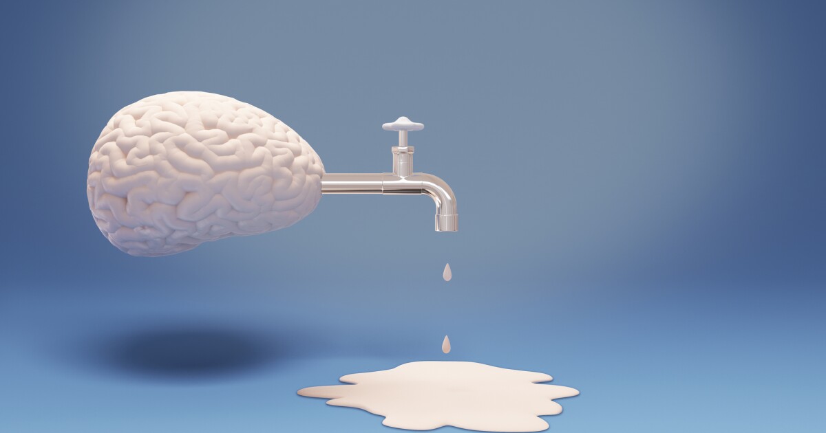 Un fármaco contra el embarazo restaura las funciones juveniles y limpia el cerebro envejecido