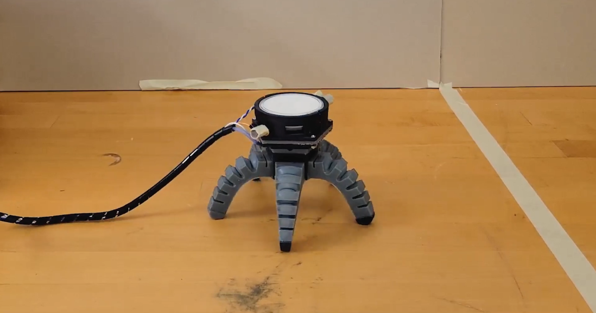 Un hongo aprende a conducir en robots «biohíbridos»