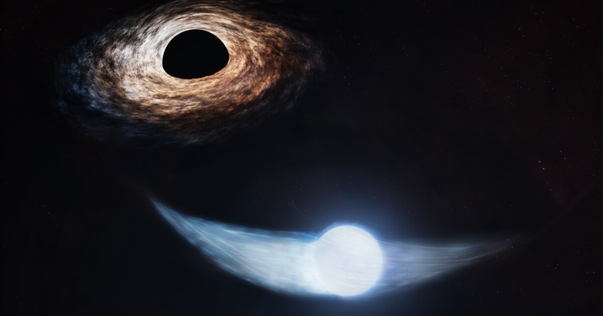 Se pronostica un espectáculo de luces estelares para el próximo año cuando un agujero negro se trague una estrella