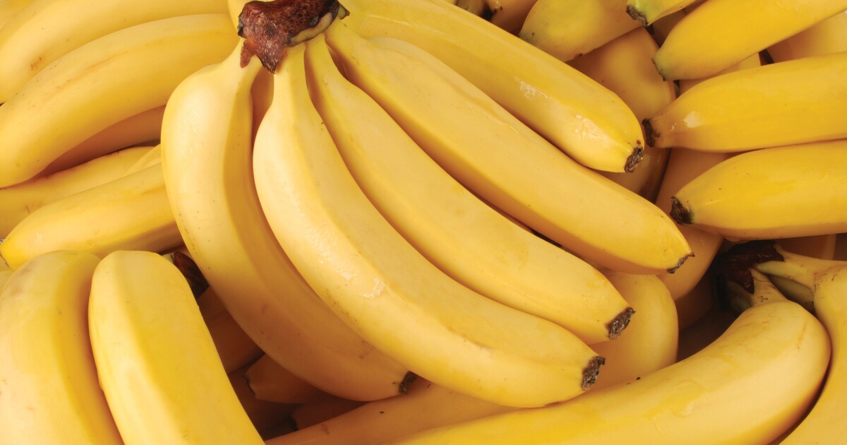 Se acerca nuevamente el «Bananageddon», pero una nueva arma podría salvarnos el pellejo