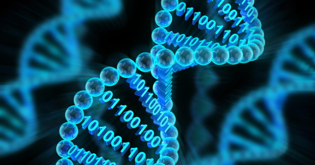 Una «computadora» de ADN resuelve sudokus y almacena millones de GB durante milenios