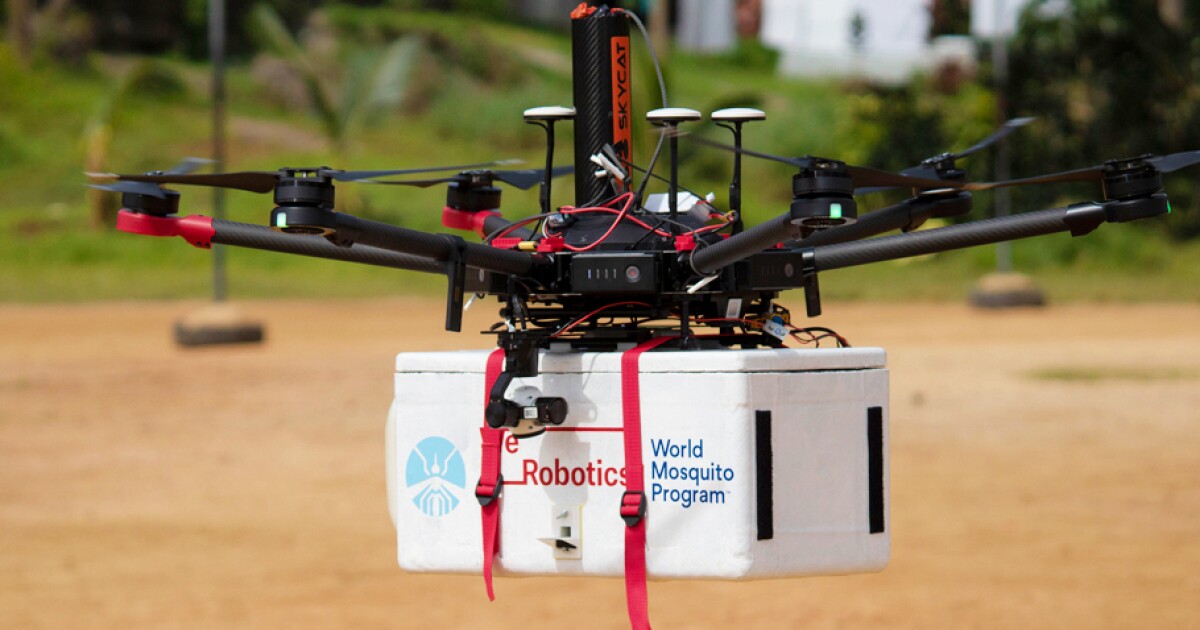 Lanzar mosquitos infectados desde un dron ya es una realidad