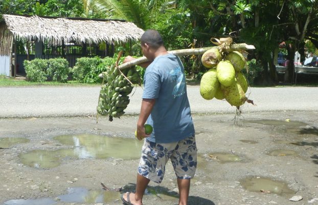 El árbol del pan está aquí para salvar el mundo