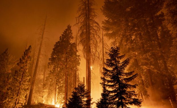 Google respalda una constelación de satélites financiada con fondos privados para la detección de incendios forestales