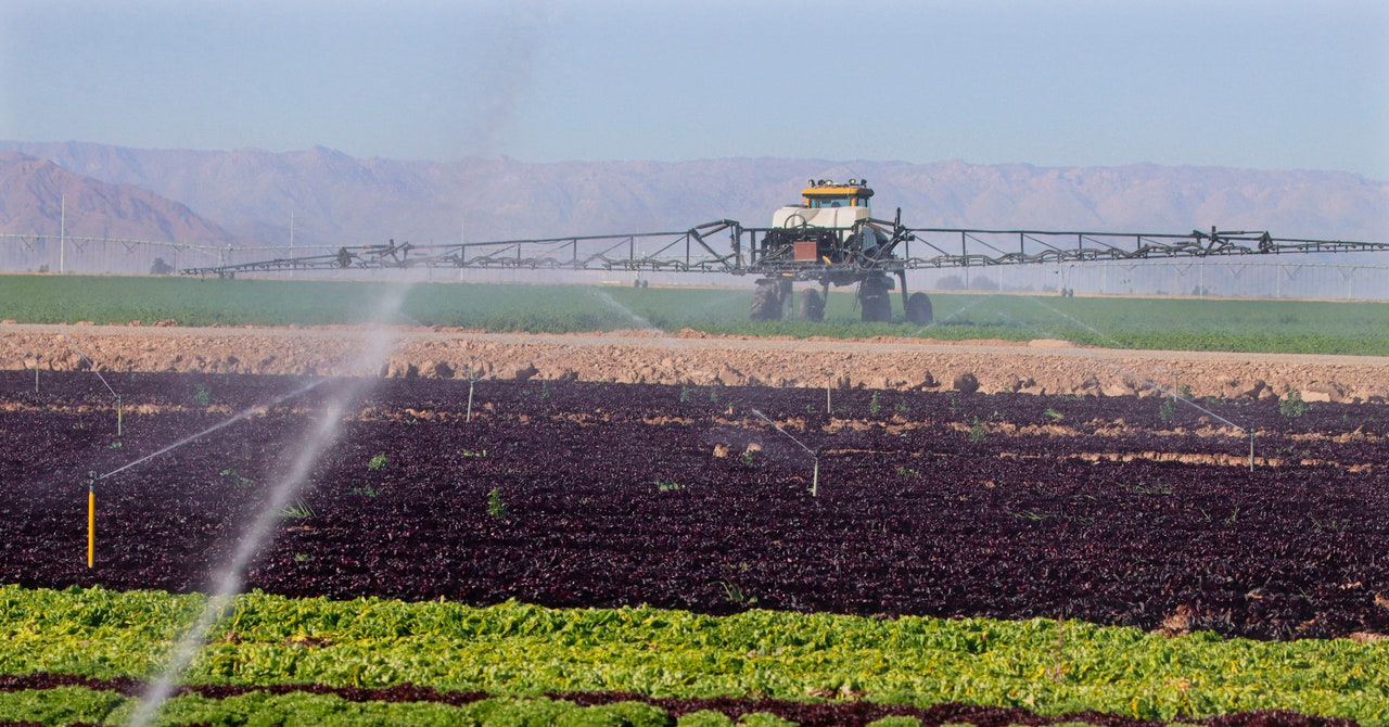 California puede saciar la sed de sus granjas almacenando agua bajo tierra