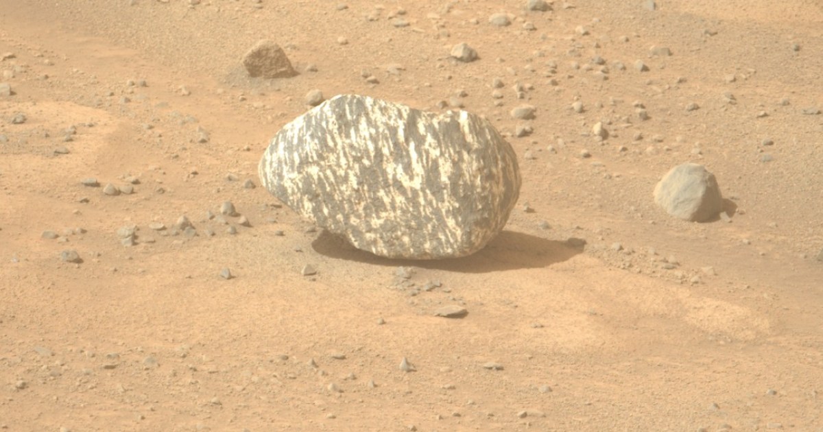 La piedra cebra: el sorpresivo hallazgo de Perseverance en Marte