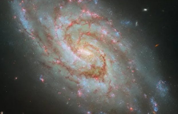 El Telescopio Espacial Hubble de la NASA captura una impresionante galaxia espiral a 45 millones de años luz de distancia