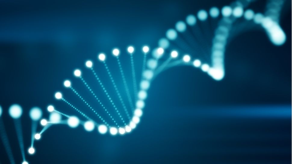 1000 computadoras portátiles en tu meñique: un avance en el almacenamiento y la computación con ADN podría ayudar algún día a almacenar petabytes de datos, pero aún no hemos llegado a ese punto