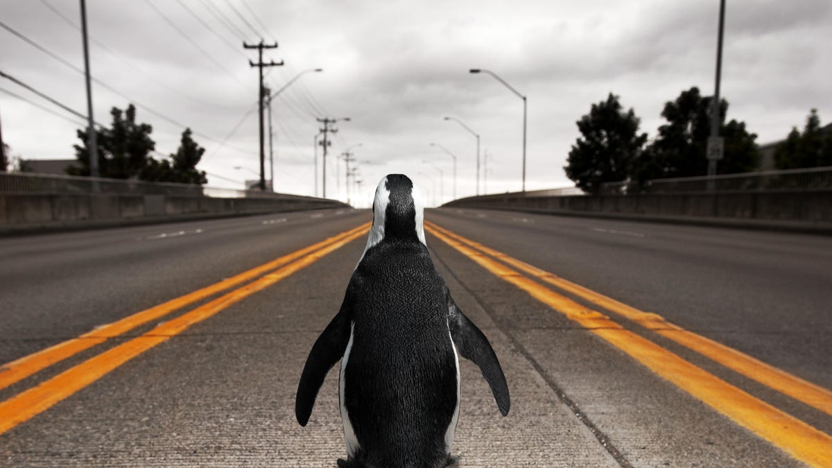 20 años después, Linux en tiempo real llega al kernel, realmente