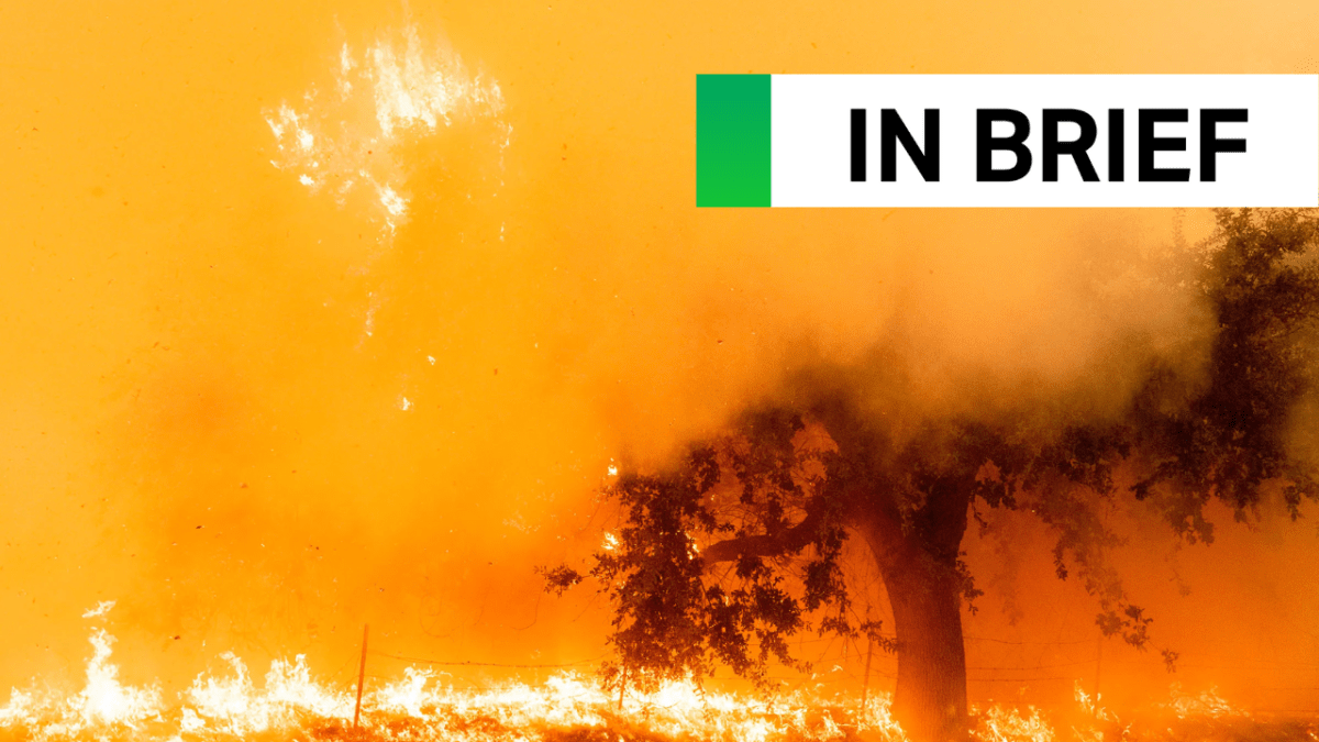 Google y Muon Space unen fuerzas para escanear continuamente la Tierra en busca de incendios forestales