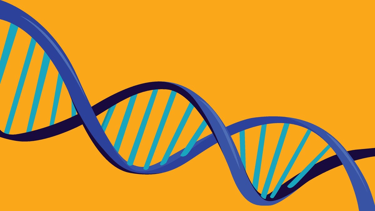 Ancestry vs. 23andMe: Cómo elegir el mejor kit de prueba de ADN para usted