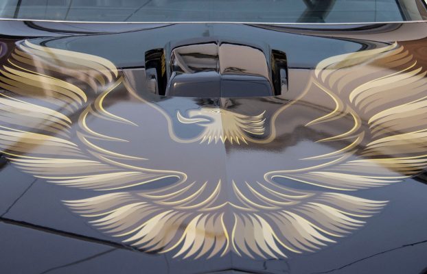 ¿Qué tipo de pájaro hay en el Pontiac Firebird? La historia detrás de la icónica calcomanía del capó