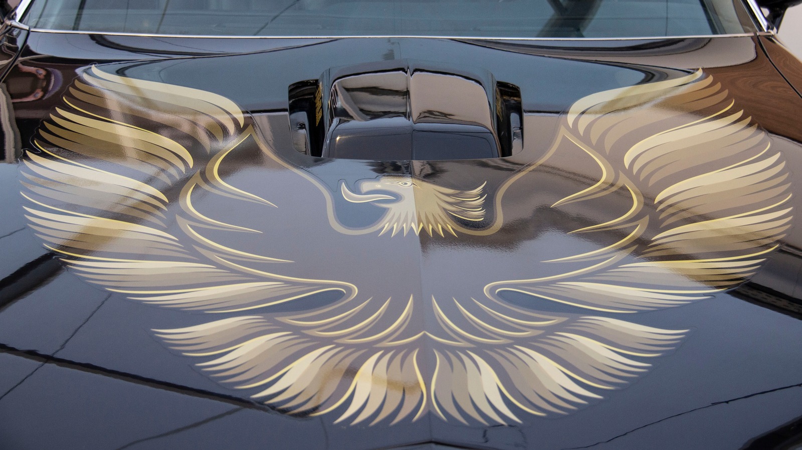 ¿Qué tipo de pájaro hay en el Pontiac Firebird? La historia detrás de la icónica calcomanía del capó