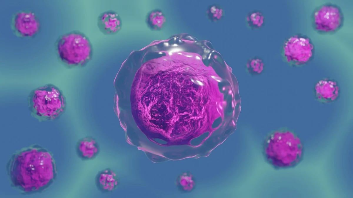 Revertir el envejecimiento en óvulos de ratón: una investigación revela un avance con potencial para la fertilidad humana