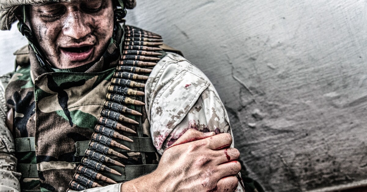 DARPA recluta a tecnología de Harvard para combatir infecciones sanguíneas mortales en el campo