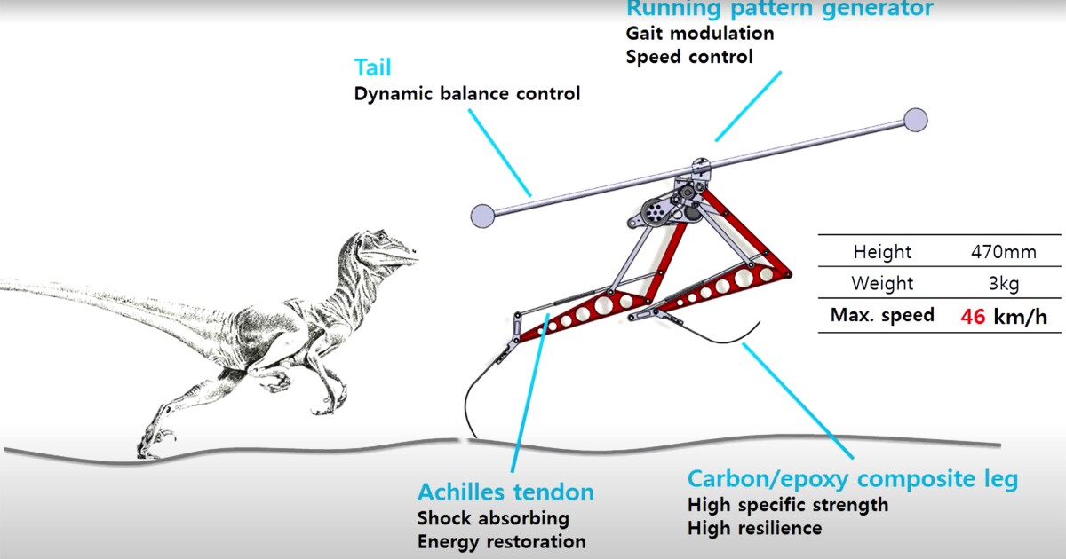 Rápido robot de dos patas diseñado como un Velociraptor