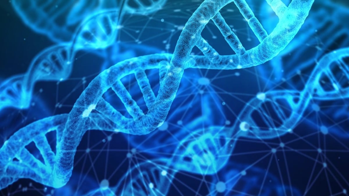 Investigadores desarrollan un método inspirado en Jurassic Park para almacenar datos basados ​​en ADN de forma segura