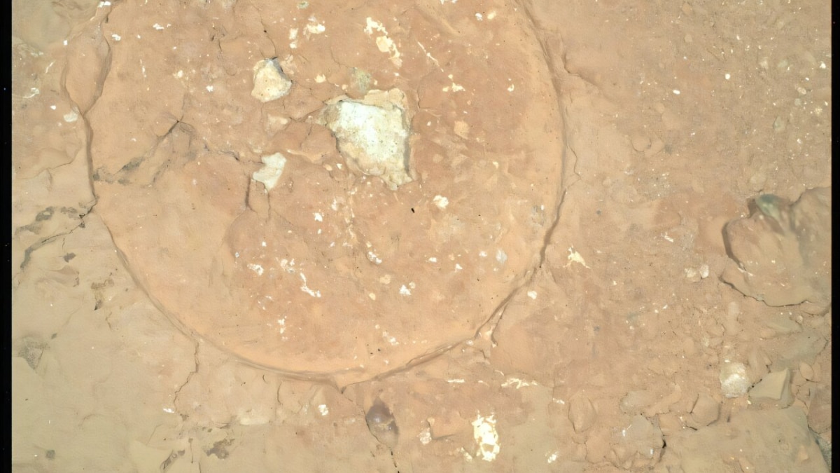 El Mars Perseverance Rover de la NASA descubre distintas rocas rojas con manchas verdes en ‘Serpentine Rapids’