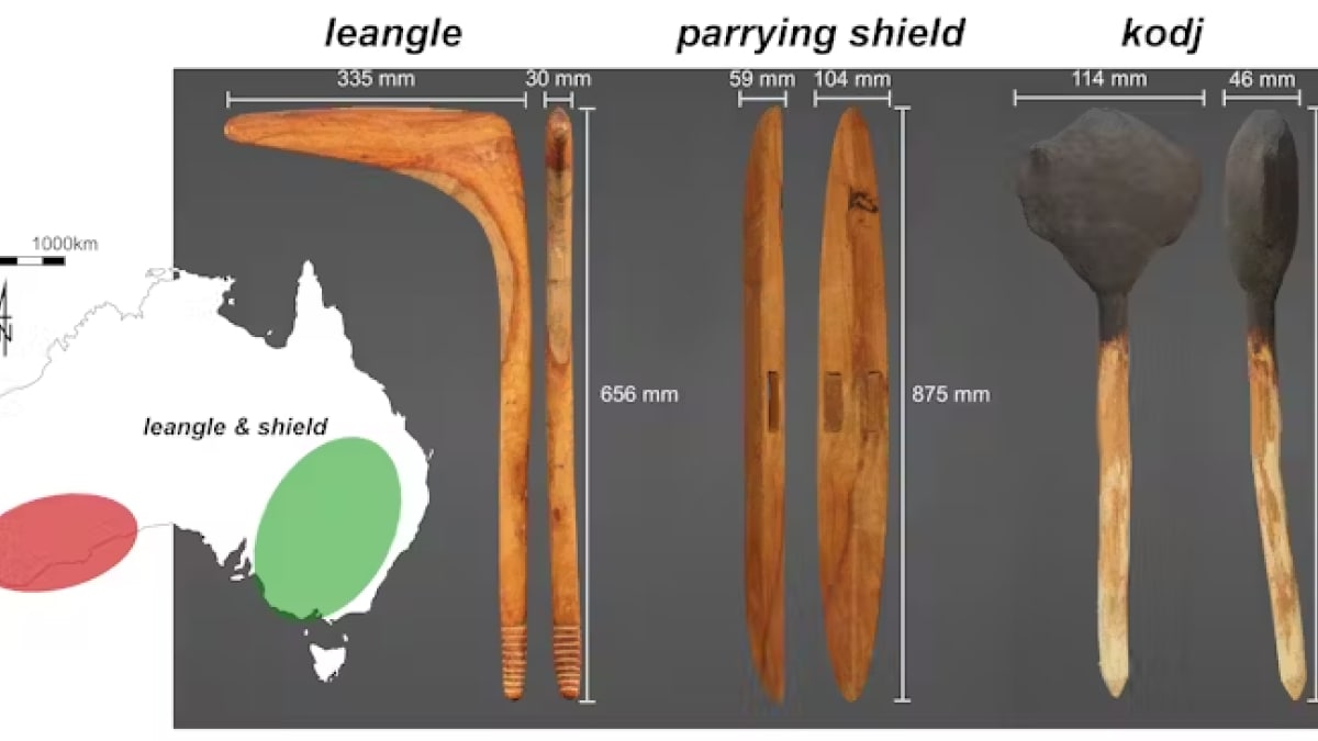 Un nuevo estudio revela el poder letal y la precisión de las armas indígenas australianas Kodj y Leangle