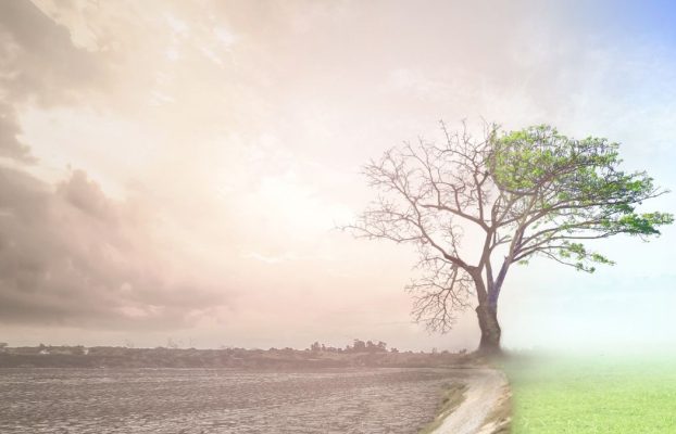 Las demandas energéticas de la IA generativa están «acelerando la crisis climática»: un importante investigador advierte sobre el impacto ambiental de la nueva función de búsqueda de Google