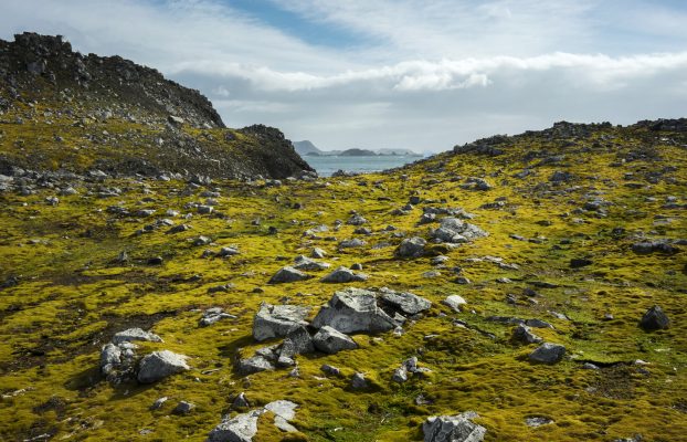 La ecologización de la Antártida muestra cómo el cambio climático afecta al continente helado