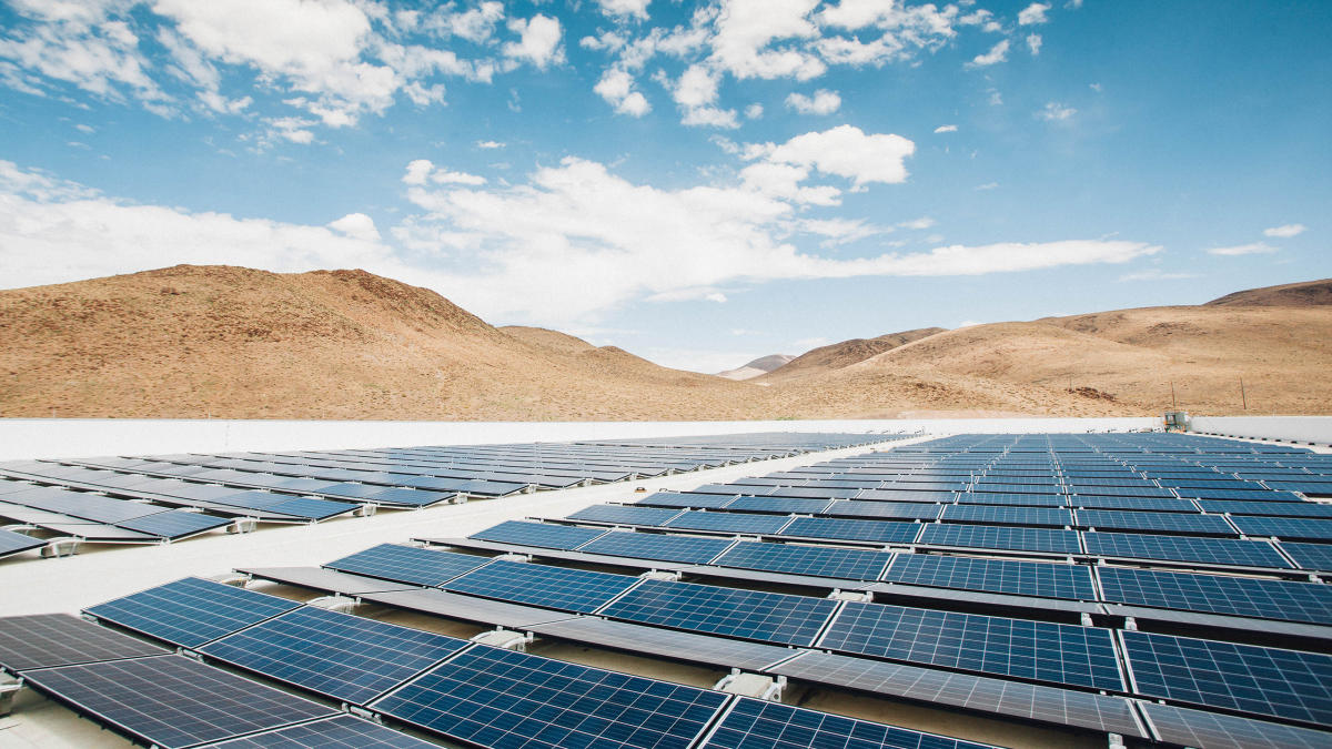 ¿Cuáles son las políticas de los candidatos sobre vehículos eléctricos y energía limpia?