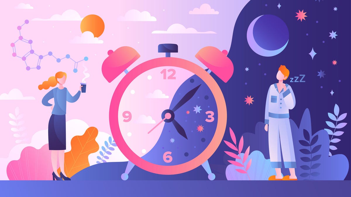 Ciclos de sueño alternativos: cómo sobrevivir con 3 horas de sueño cada noche
