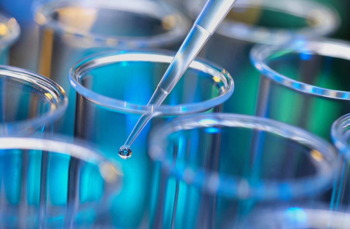 BaCta utiliza bacterias diseñadas para cultivar caucho natural y reducir las emisiones de CO2