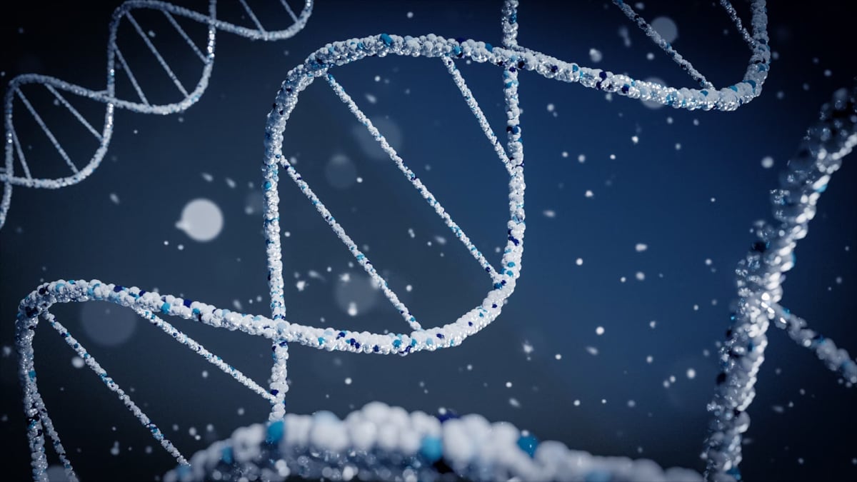 El Premio Nobel de Química 2024 reconoce descubrimientos innovadores en proteínas