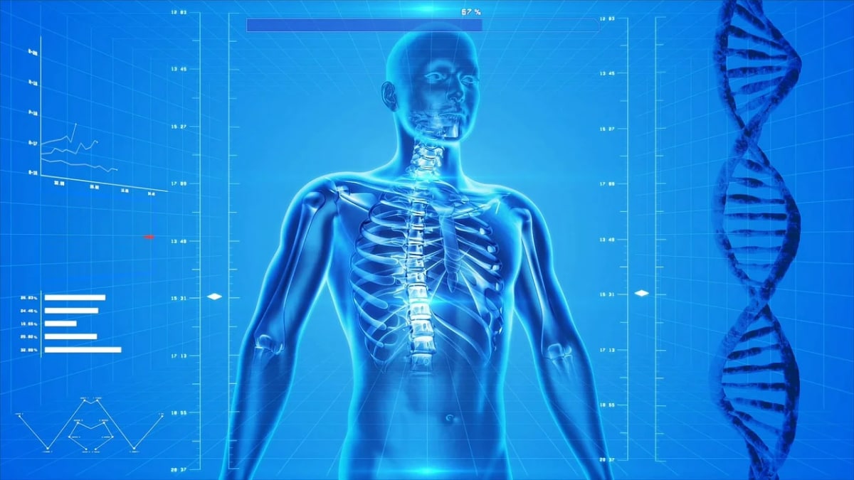 El sentido del olfato humano detecta cambios de olor más rápido de lo que se pensaba, según un estudio