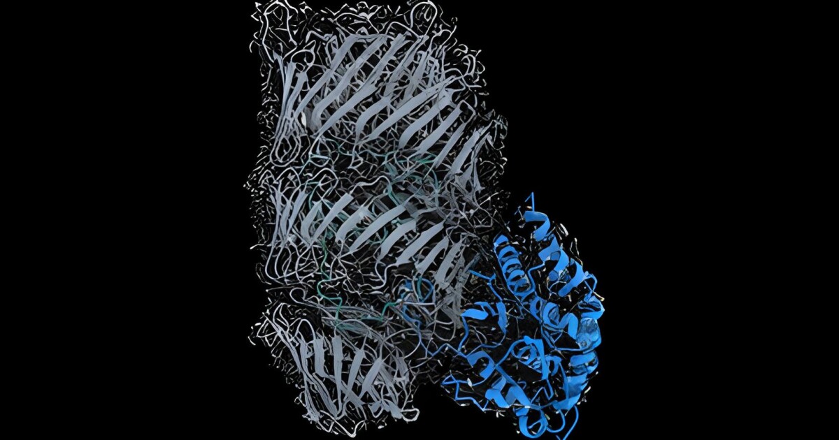 Nueva nano arma descubierta en uso por bacterias amenazantes
