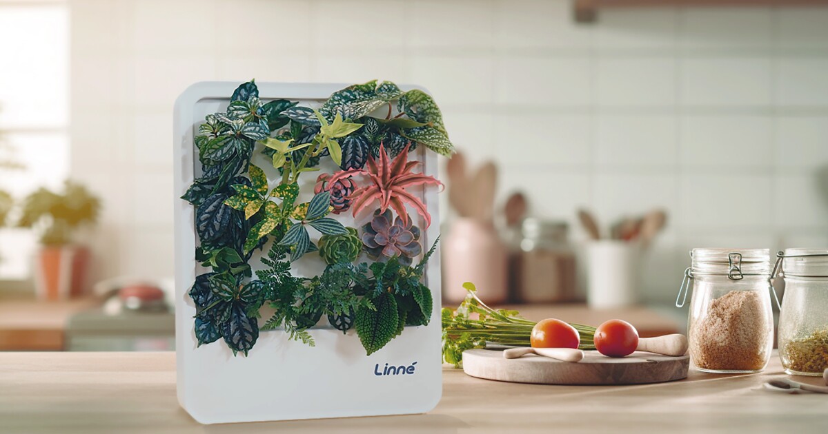 El jardín vertical con riego automático es una obra de arte versátil y sin complicaciones