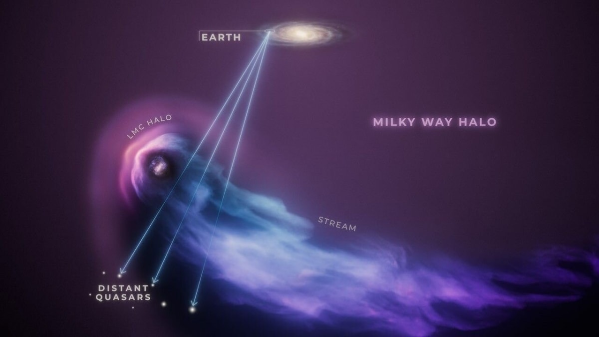 El Hubble de la NASA revela el impacto de la fuerza gravitacional de la Vía Láctea en la gran nube de Magallanes
