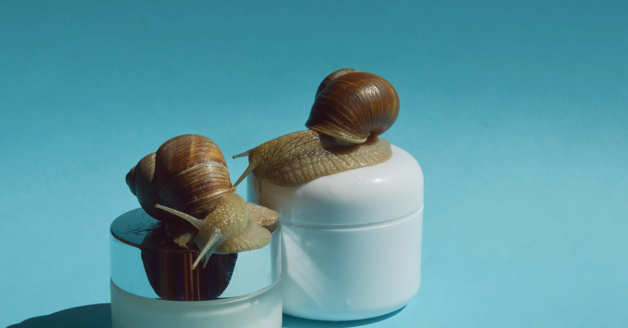 La mucina de caracol es una sensación en el cuidado de la piel con orígenes antiguos