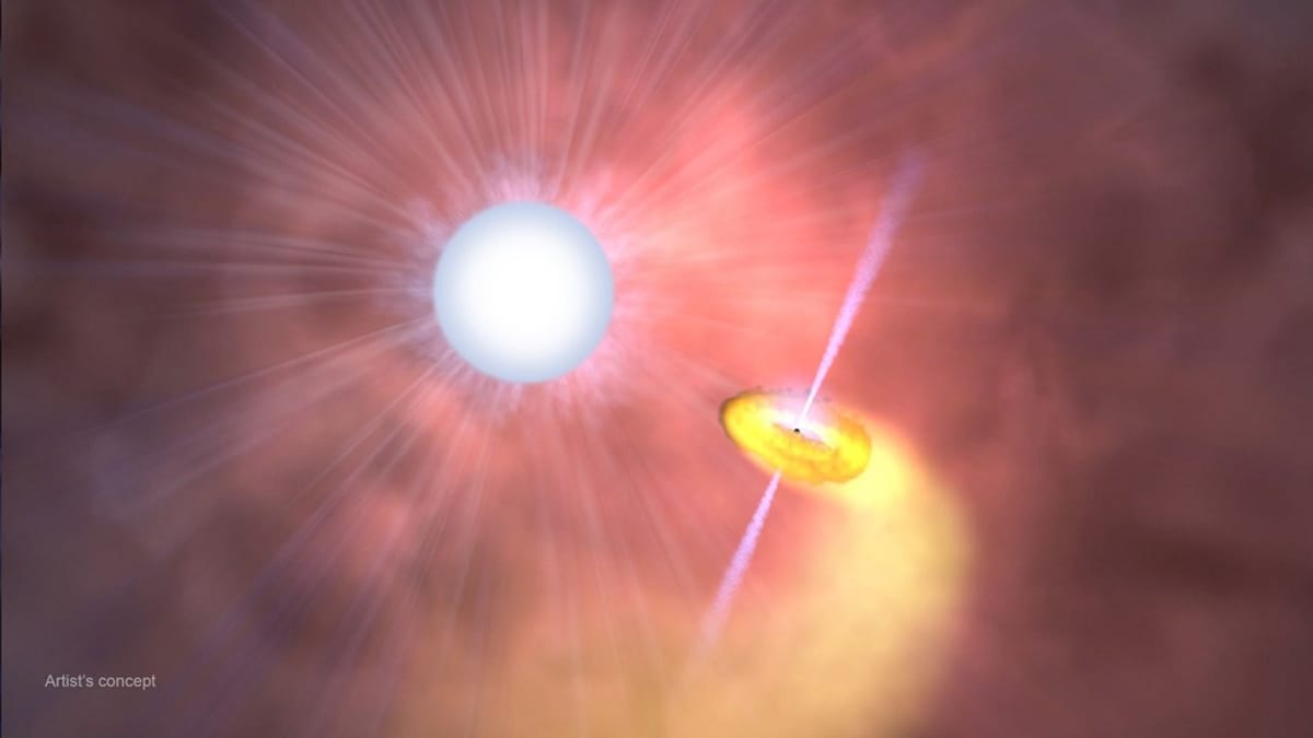 La misión XRISM de la NASA y JAXA captura datos detallados de la estrella Wolf-Rayet que emite rayos X