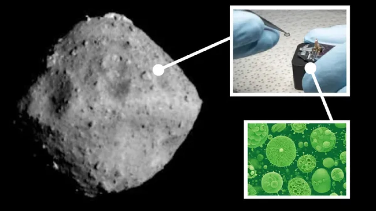 Microbios terrestres descubiertos en una muestra del asteroide Ryugu generan preocupación por la contaminación