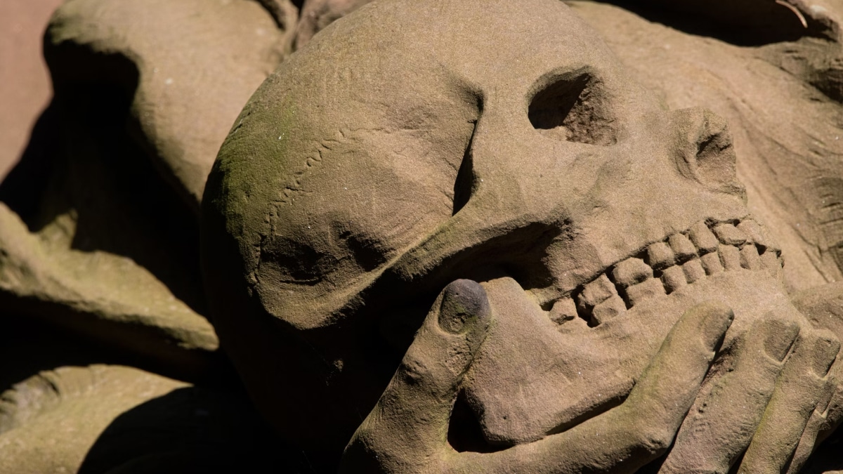 Investigadores encuentran evidencia de prácticas de embalsamamiento en la Francia del siglo XVI