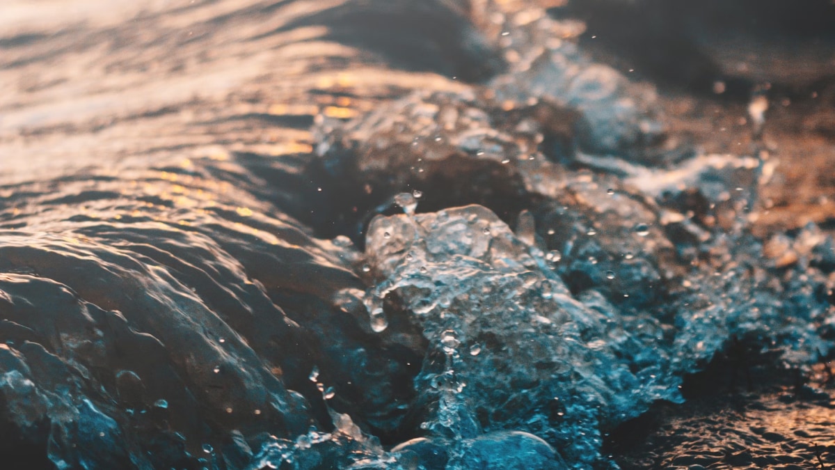 La minería de litio podría tener un impacto drástico en la calidad del agua y el medio ambiente, según un estudio